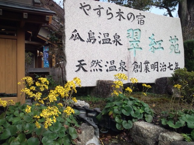 秋のつわぶき.jpg
